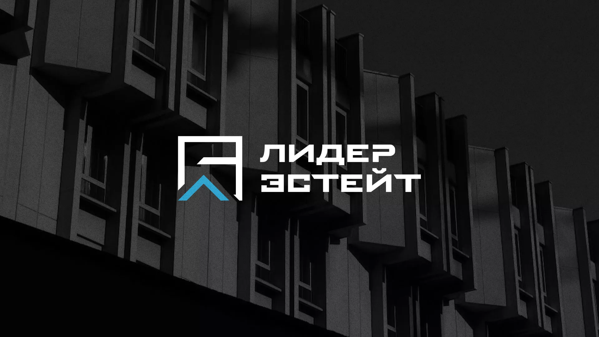 Разработка логотипа агентства недвижимости «Лидер Эстейт» в Саянске
